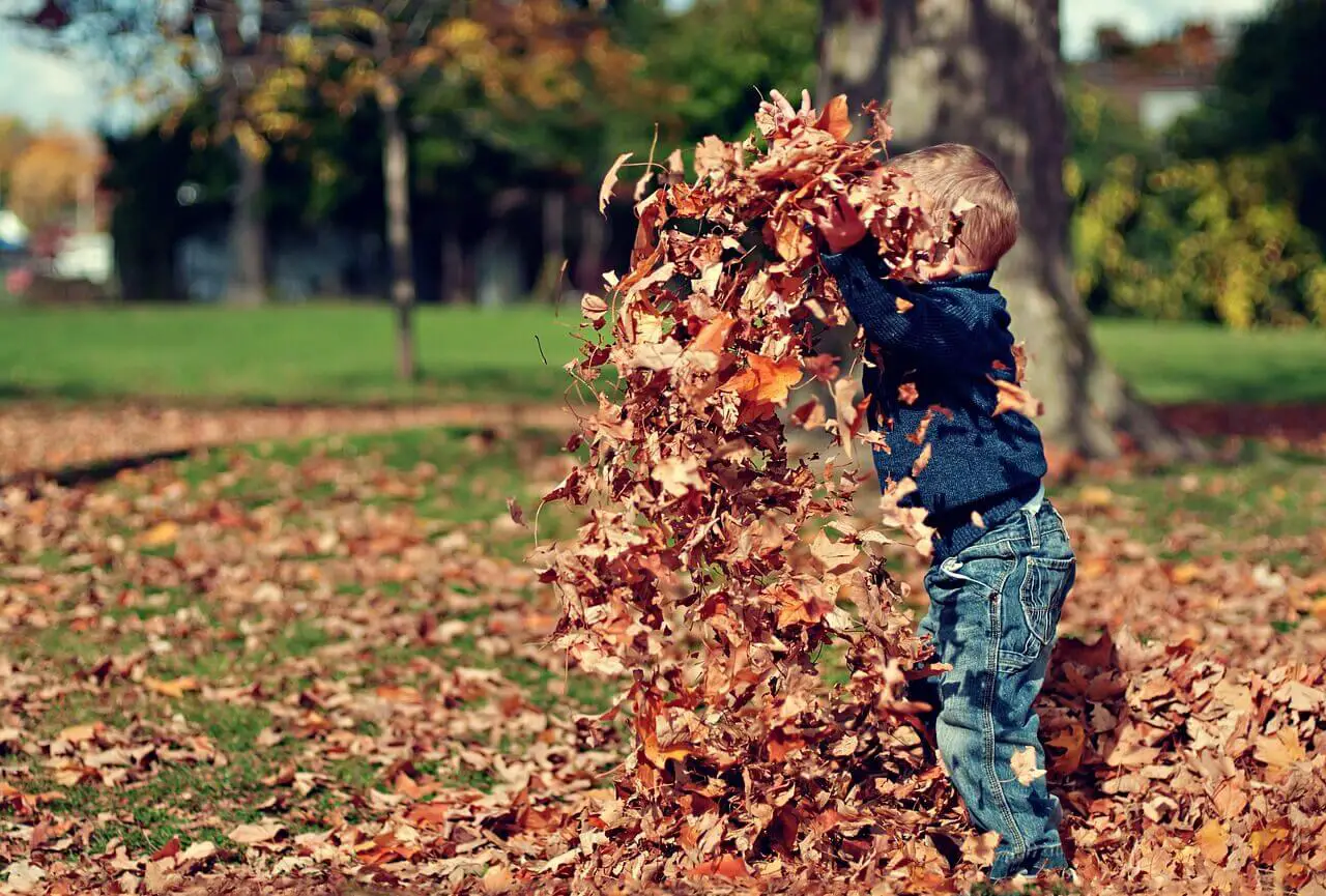 Toddler playing in a pile of leaves in the fall
